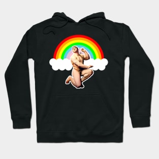 Athletic boy kneeling and on LGBT rainbow Hoodie